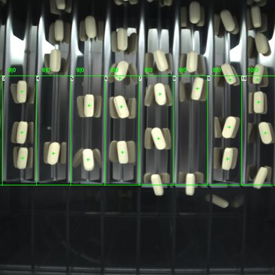 자동 정제 육안 검사기